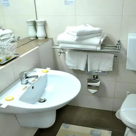 Hotell Decebal Neptun