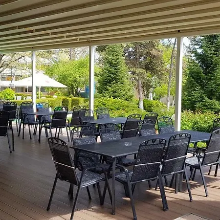 Hotel Decebal 3*