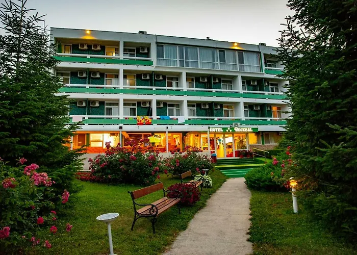 Hotel Decebal 3*